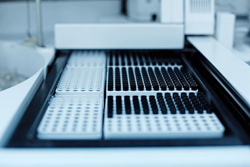 微型計算機硬件系統(tǒng)中最常用的輸出設(shè)備