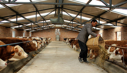 【走進“三農”】張家川五大產業齊并進（三）畜牧設備技術開發 賦能傳統養殖，驅動產業升級