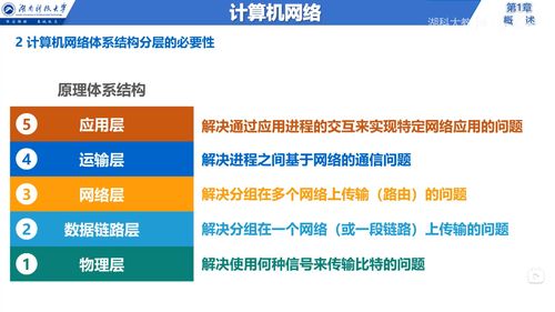 計算機(jī)網(wǎng)絡(luò) 連接未來的基石——從湖南科技大學(xué)到湖大教書匠的網(wǎng)絡(luò)技術(shù)服務(wù)啟示